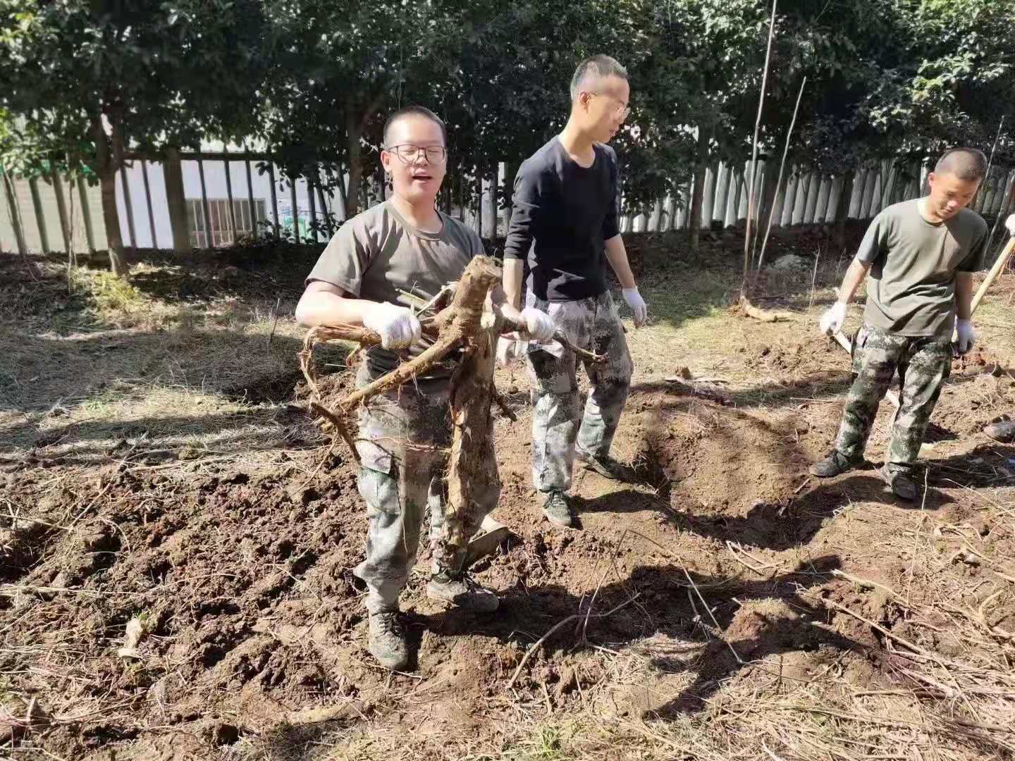 正苗启德学生农耕体验